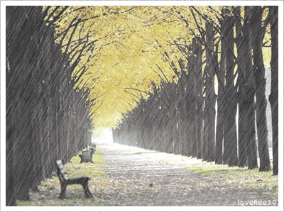 360780473bd57fad778_400